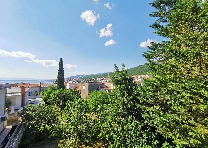 House Mare فيلة *